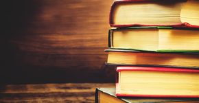 App ajuda a gerenciar empréstimos de livros entre amigos