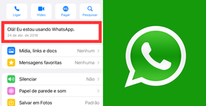 Foto: (Captura de tela do WhatsApp)