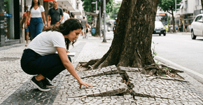 O que sua árvore tenta te dizer quando as raízes começam a levantar o piso da calçada