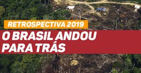 2019: o ano dos retrocessos na preservação do meio ambiente