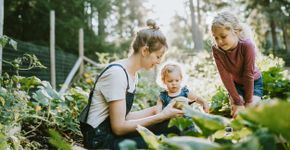 Foto: (iSTock)