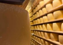 Featured side: A rota que revela o outro sabor do Uruguai