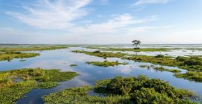 Ampliado em 2026 para 183 mil hectares, este parque protege uma parcela do Pantanal onde convivem espécies ameaçadas como onça-pintada, ariranha, tatu-canastra e cervo-do-pantanal