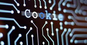 Foto: (Banco de Imagens | iStock)