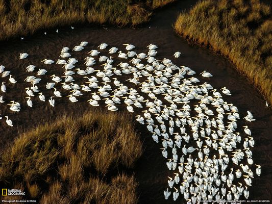 Mississippi (EUA) - Imagem: Annie Griffiths