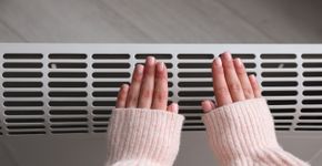 Foto: (o:Liudmila Chernetska/istock)