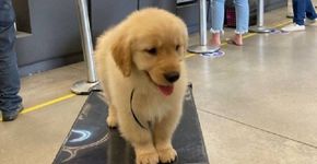 Foto: (Reprodução/Instagram)