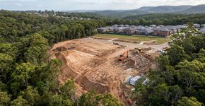 Ele derrubou 600 árvores para construir uma mansão e agora terá que plantar quase 39.000