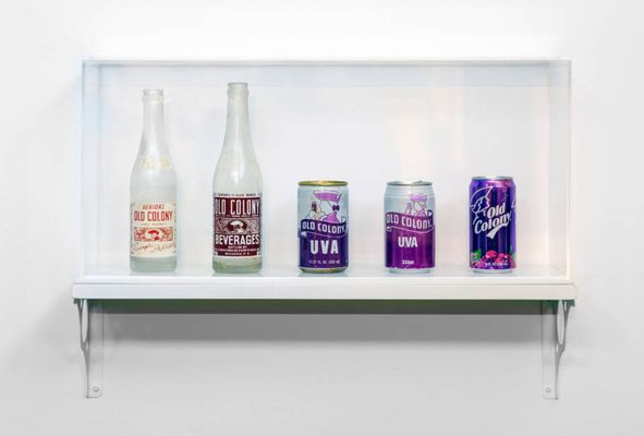 MASP apresenta primeira mostra de Pablo Delano no Brasil