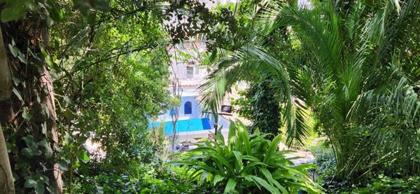 Jardins de La Chascona, em Santiago