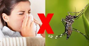 Você sabe as diferenças entre gripe e dengue? Faça o teste
