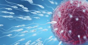 Foto: (iSTock)