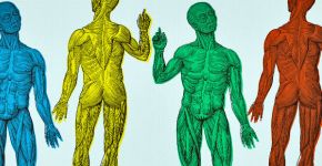 Google cria projeto para encontrar a ‘saúde perfeita’ do corpo humano