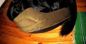 20 cachorros que não têm ideia do próprio tamanho