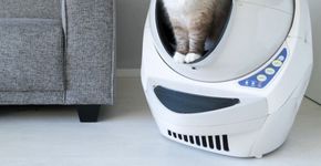 Foto: (Reprodução/Litter-Robot)