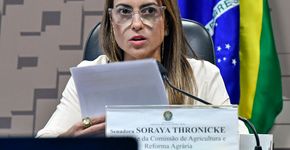 Foto: (Geraldo Magela/Agência Senado)
