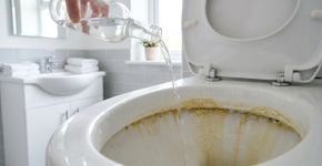 Apenas jogue no vaso sanitário e deixe agir, você vai se surpreender com o resultado