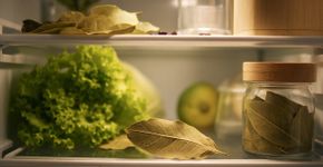 Especiaria da cozinha vira solução natural contra bactérias e odores na geladeira