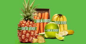 Foto: (Divulgação)
