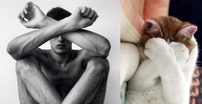 Homens e gatos em poses similares