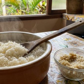 Featured mobile: Demorei muito para entender por que o arroz não deve ser lavado antes de cozinhar