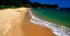 5 praias no litoral paulista para mergulhar