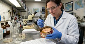 Uma lata de salmão passou 50 anos fechada até cientistas abrirem seu conteúdo e encontrarem algo que ninguém estava procurando