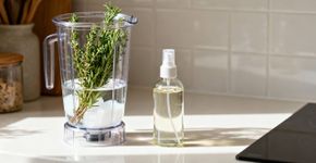 Liquidificar alecrim e vinagre: Uma mistura poderosa que tem uma grande função para a casa e a limpeza