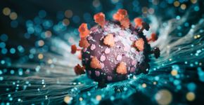 Foto: (koto_feja/istock)