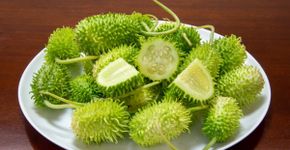 Maxixe ajuda a emagrecer? Veja 6 benefícios do vegetal e como incluir na dieta