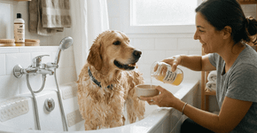 Para que serve colocar vinagre no banho do pet e por que você deve fazer