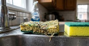 A esponja de cozinha não deve ser trocada de quinze em quinze dias ou todo mês: este é o tempo ideal para fazer a troca