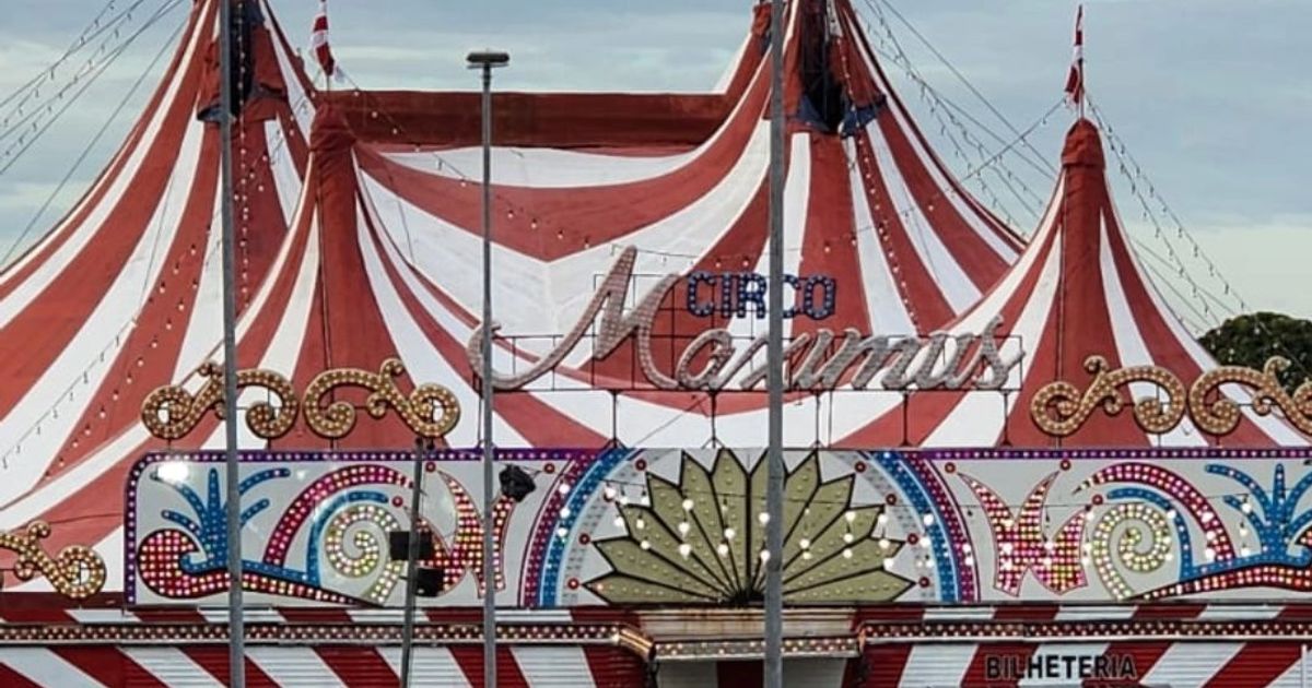 Circo Máximus estreia em São Bernardo do Campo nesta quarta