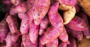 Foto: (Tanes Ngamsom/istock)