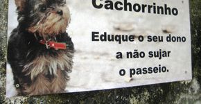 Cidade da Espanha devolve cocô de cachorro esquecido na rua via correio