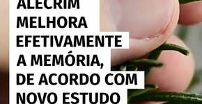 Cheiro de alecrim pode turbinar a memória, revela pesquisa recente