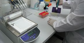 Instituto Biológico festeja 90 anos de pesquisas no agronegócio