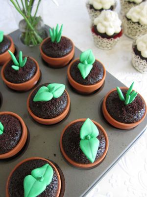 Os vasinhos de plantas são cupcakes