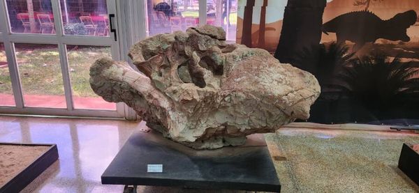 Fósseis de dinossauros encontrados em Peirópolis