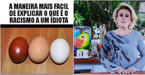 Foto: (Divulgação)