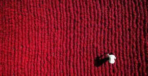 10 imagens incríveis de lugares do mundo vistos de cima
