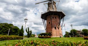 Foto: (Alfribeiro/iStock)