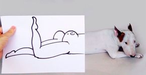 Artista brasileiro cria divertidas ilustrações com seu cachorro