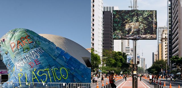 Virada Sustentável 2024: confira os destaques da programação