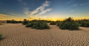 15 mil cientistas assinam carta que alerta sobre o planeta