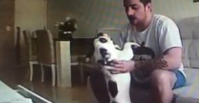 Homem flagrado agredindo cães terá que limpar canil da polícia