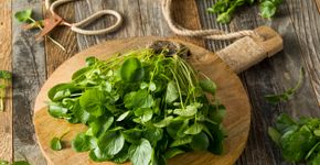 Foto: (iStock)