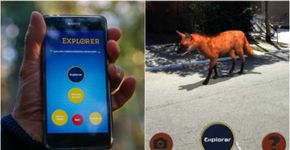 Jogo inspirado em ‘Pokémon Go’ reúne animais da Mata Atlântica