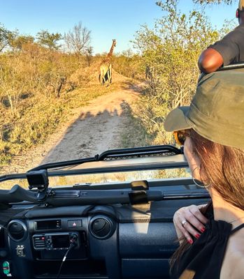Passse com a seta ao lado para mais fotos! Safári com carros elétricos na savana Sul-africana