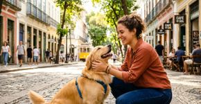 A psicologia questiona: o que significa o instinto constante de acariciar cães?